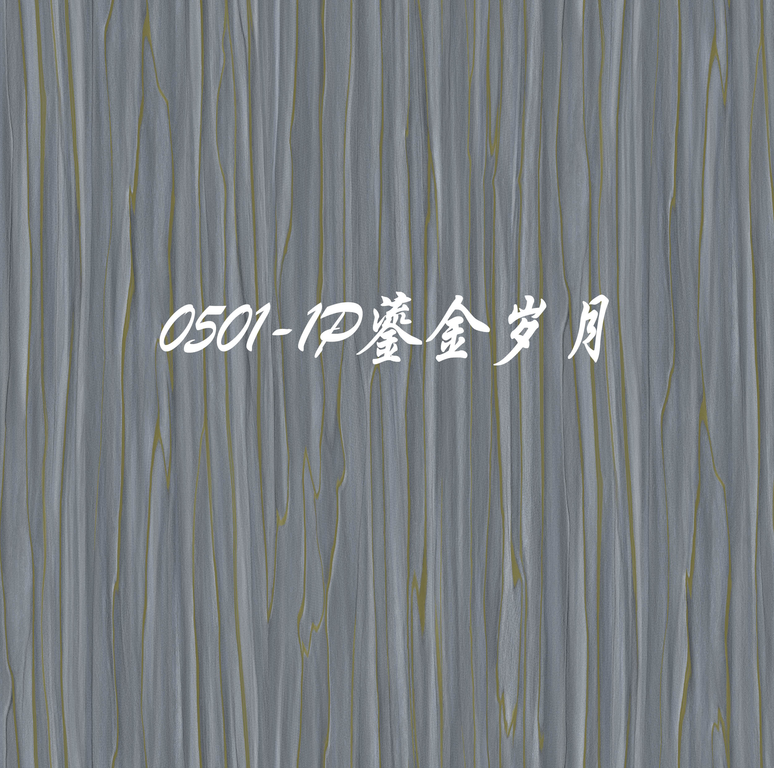 B.SH0501鎏金岁月